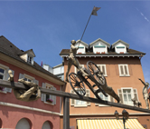 Die Frauenärzte Lörrach-Schopfheim